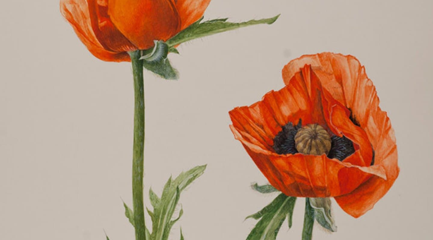 The Art of Healing Through Expression and Creativity