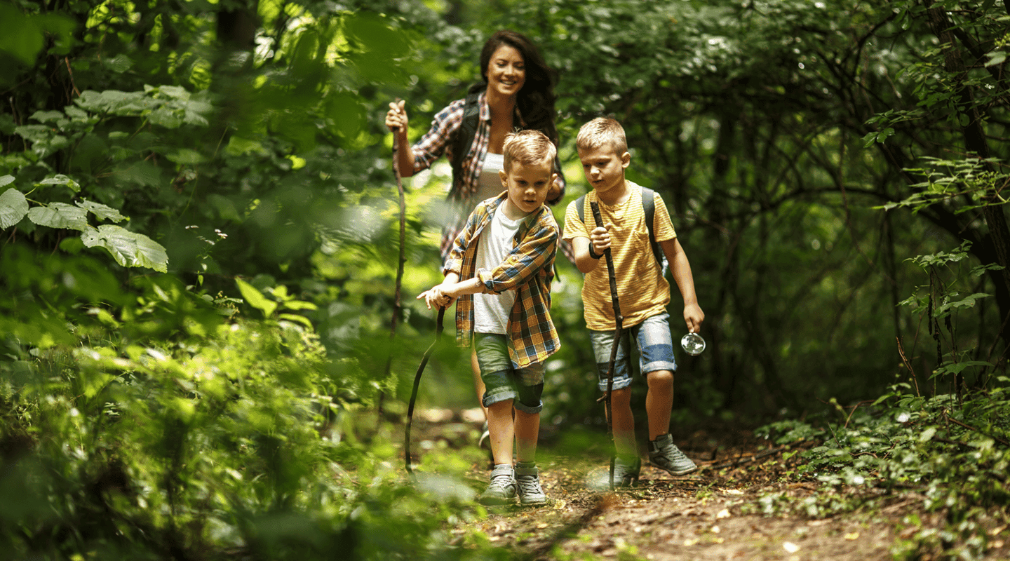 Tick safety tips everyone should know