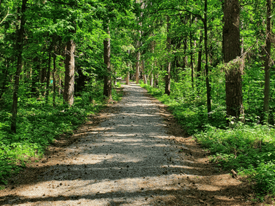 Tips for a happy, healthy summer