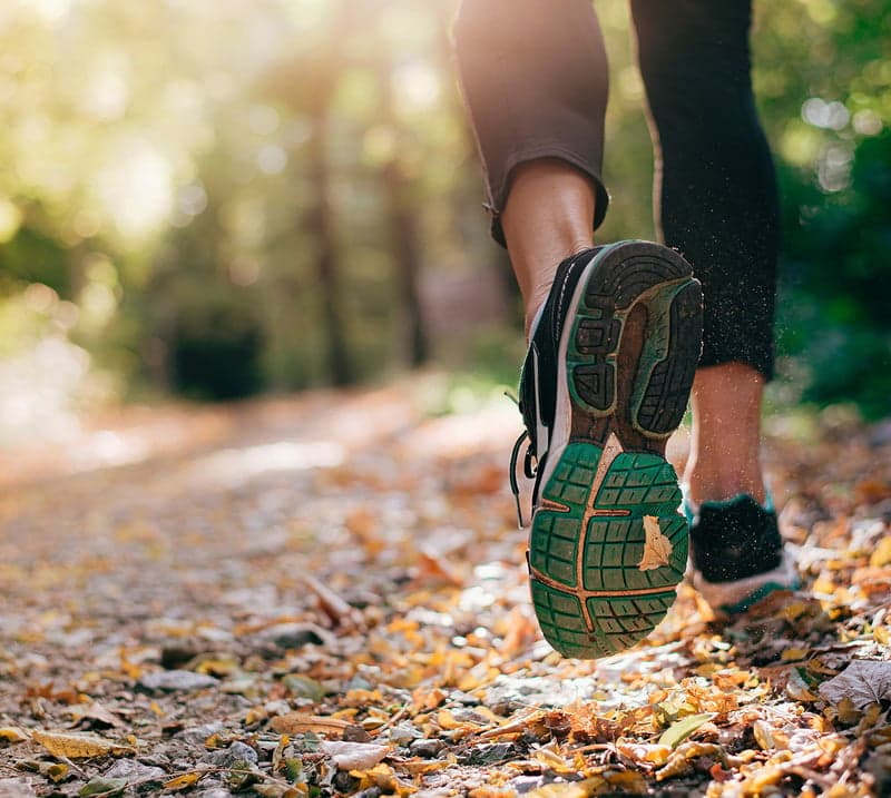 closeup photo of a runner and their running shoe on a trail in the woods
