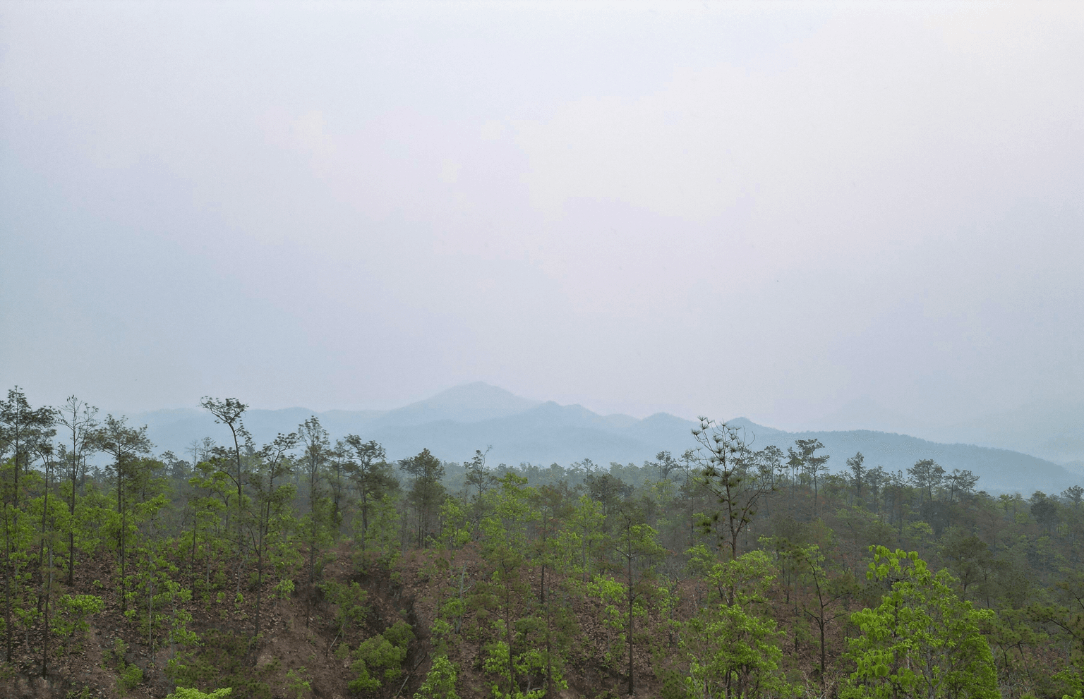smoggy sky